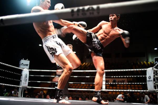 mixed martial arts, MMA, UFC, kickboxing, boxing, karate, muay thai