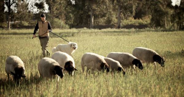 apricot lane farms, sustainable farming, organic farming, biodynamic farming