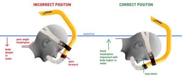snorkel, finish, freestyle swimming, freestyle, swimming, head position