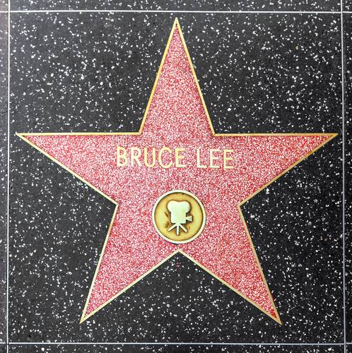 bruce lee, enter the dragon, ufc, mma, martial arts, mixed martial arts