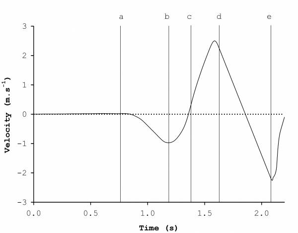 jason lake, kettlebell swing biomechanics, jump biomechance, force-time curve