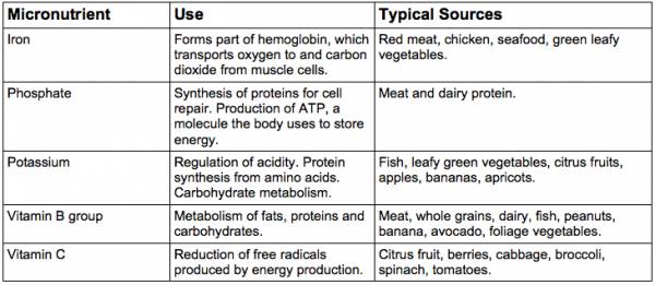 fuel for cycling, cycling nutrition, cycling