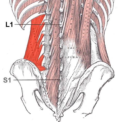 cycling, fitting bike, bike fit, back pain, cyclists low back pain, cyclist back