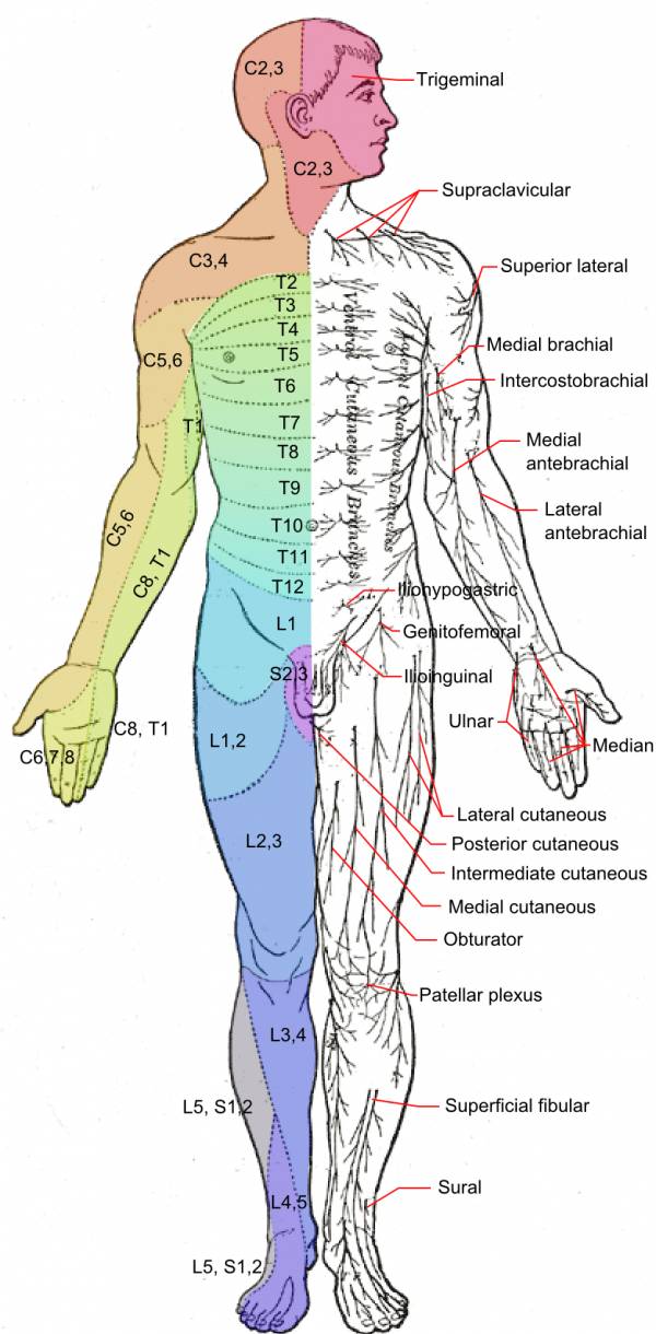 neck injury, neck strain, neck pain, stiff neck, sore neck, treat neck pain