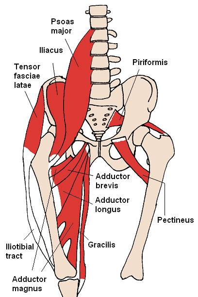 hip mobility, hip stretches, bjj hips, hip care for bjj, bjj hip mobility, bjj