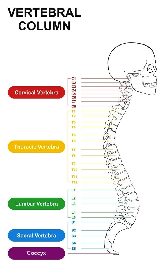 herniated disc, slipped disc, bulging disc, yoga bulging disc, lifting low back