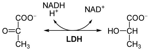 energy pathways, metabolic pathways, energy systems, bioenergetics, glycolysis