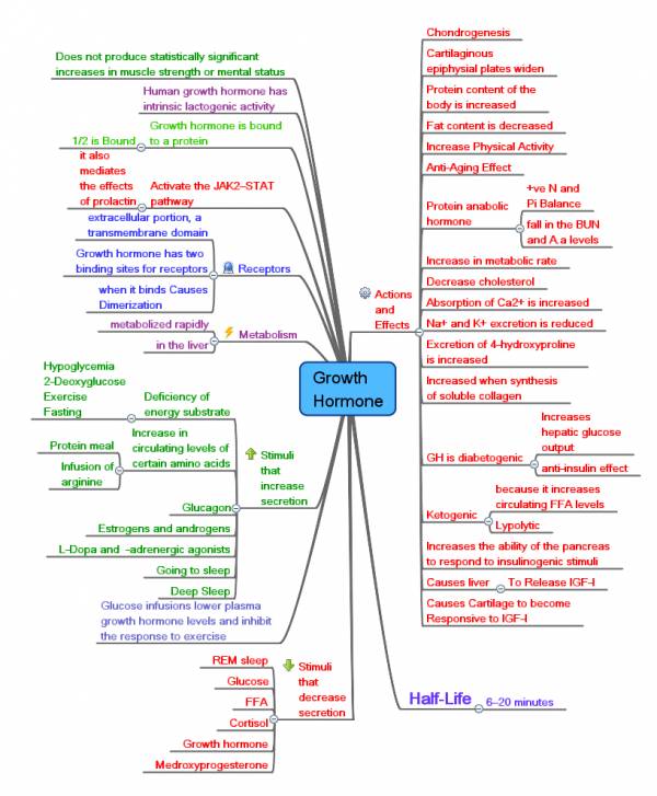 gh, hgh, gh and women, women and hormones, growth hormone in women