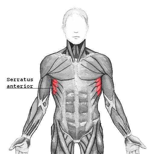 stable surface, TRX, unstable surface training, pressing exercises