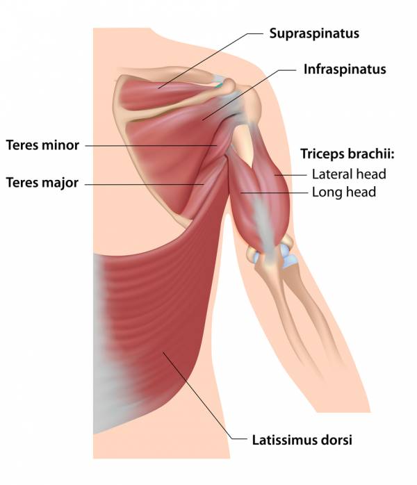 mobility, weightlifting mobility, overhead mobility, overhead squat mobility