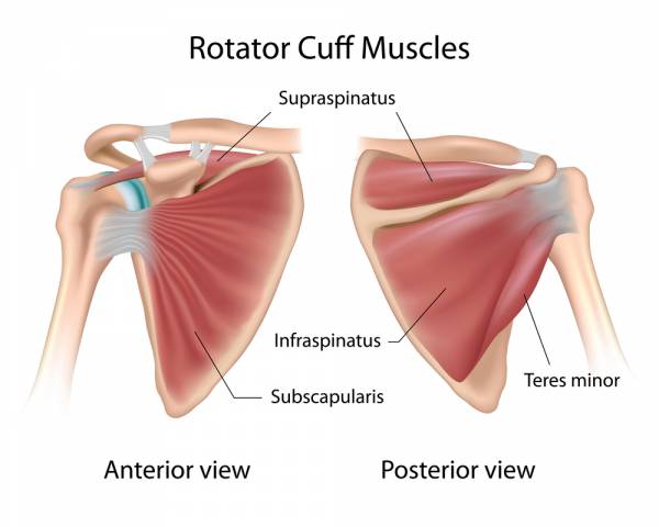 mobility, weightlifting mobility, overhead mobility, overhead squat mobility