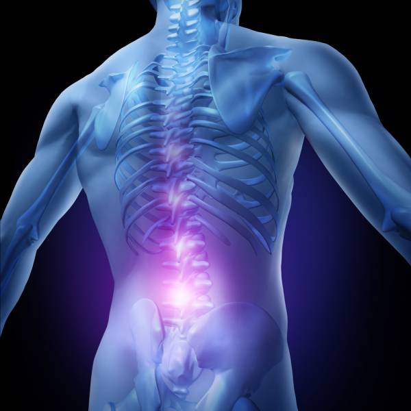 herniated disc, slipped disc, bulging disc, heal bulging disc, healing back