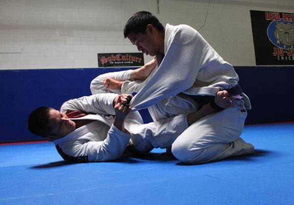 bjj posture, bjj and posture, spine health and bjj, mobility for bjj, bjj health