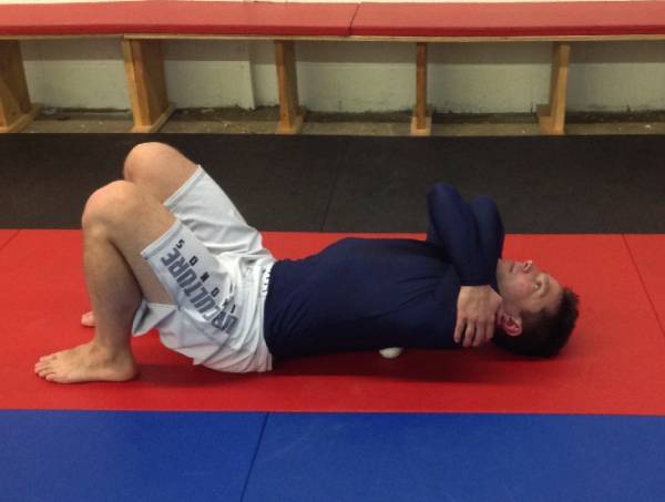 bjj posture, bjj and posture, spine health and bjj, mobility for bjj, bjj health