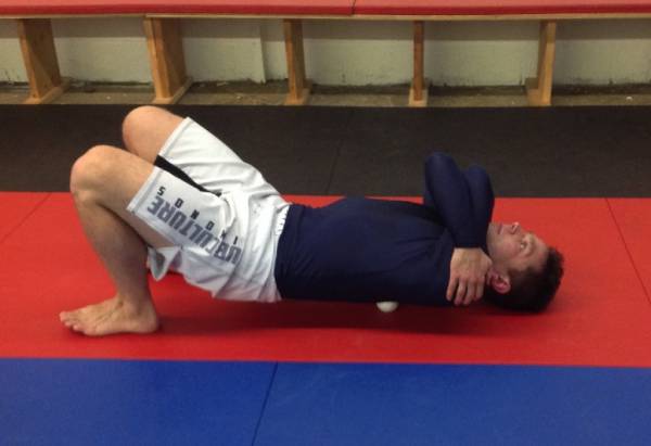 bjj posture, bjj and posture, spine health and bjj, mobility for bjj, bjj health