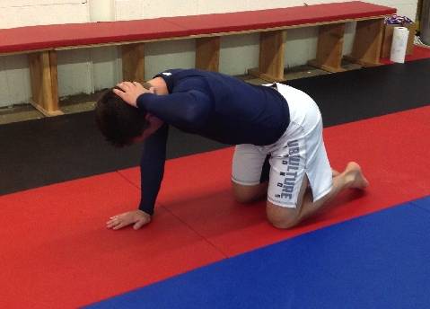 bjj posture, bjj and posture, spine health and bjj, mobility for bjj, bjj health