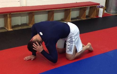 bjj posture, bjj and posture, spine health and bjj, mobility for bjj, bjj health