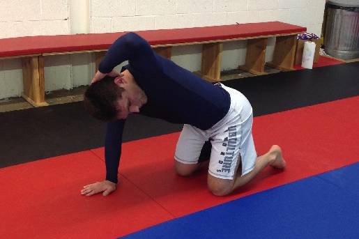 bjj posture, bjj and posture, spine health and bjj, mobility for bjj, bjj health