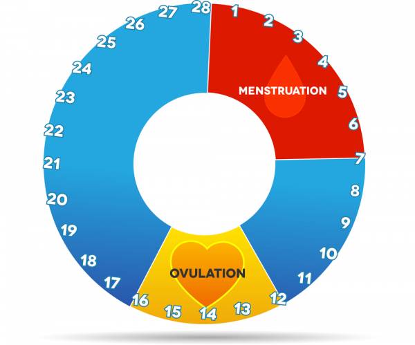 female athlete triad, reproductive health, hypothalamic amenorrhea, amenorrhea