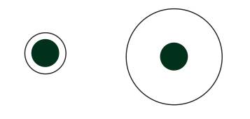 plate size, portion size, craig marker, overeating, science behind plate size