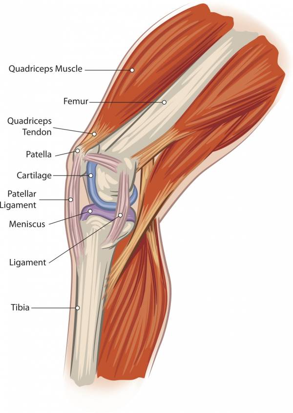 brooke thomas, fascia freedom fighters, mobility, flexibility, hypermobility