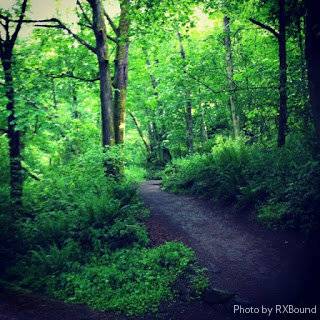 hill running, stair running, running stairs, how to run inclines, incline run