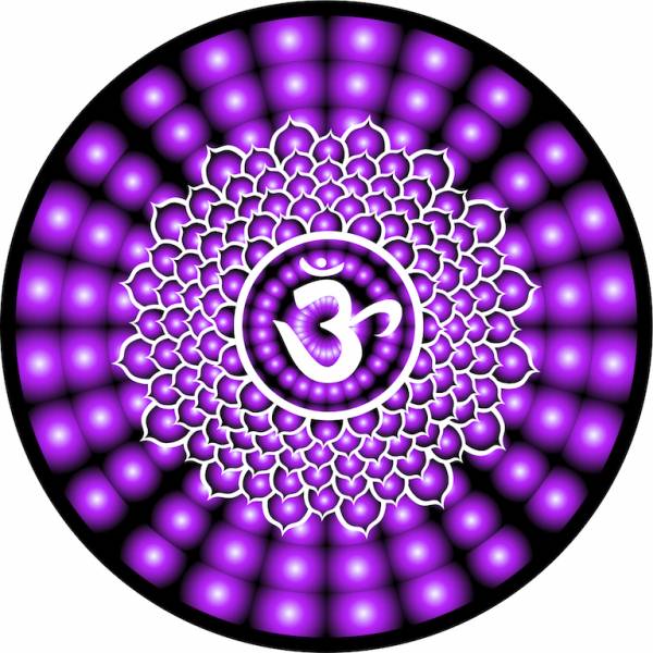 chakras, seventh chakra, sahasrara