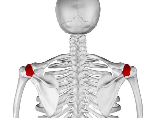 lat pulldown, upper body exercise, lats, strength and conditioning