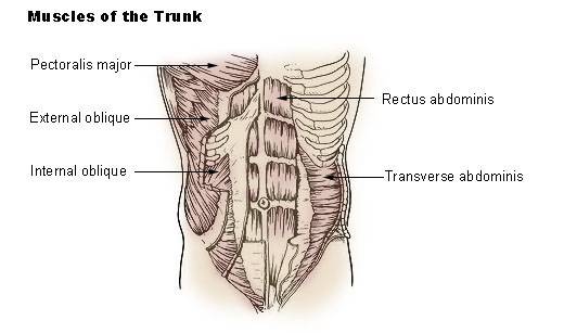 core exercise, abdominal strength, pilates, abdominal bracing, abdominal hollow