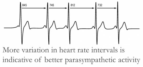 heart rate, Recovery, overtraining, performance, vagus nerve