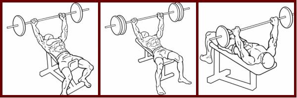 machines, free weights, physics, lever, mechanical advantage, leg press