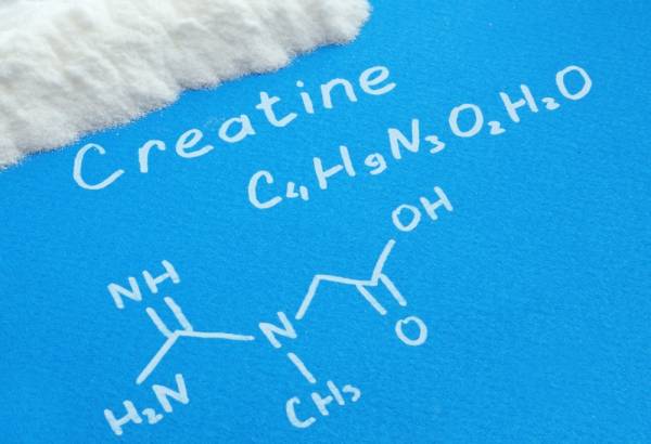 creatine, supplements, amino acids, healthy diet