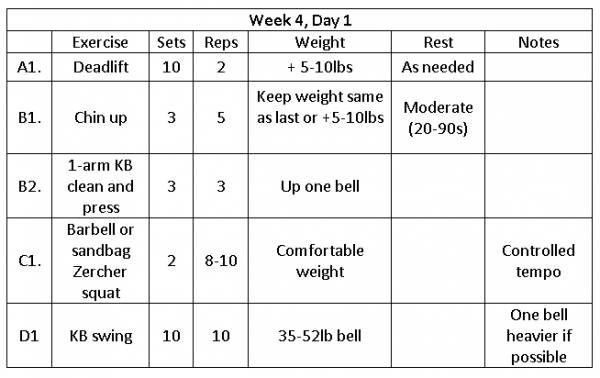 mole marcinek MMA BJJ mixed martial arts jiujitsu training program