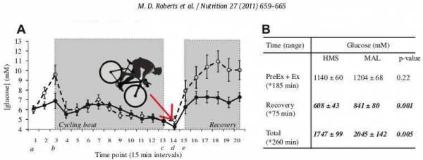 carb supplements, performance supplements