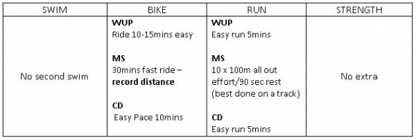 sprint triathlon training with mischele stevens