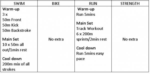 sprint triathlon training with mischele stevens