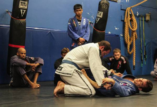 blue belt, bjj