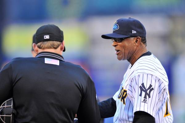 Professional manager speaking with umpire