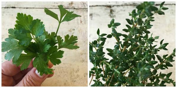 Dress up your meals with the addition of fresh herbs.