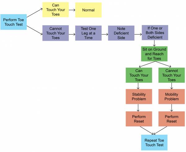 The standing toe touch is an assessment tool. 