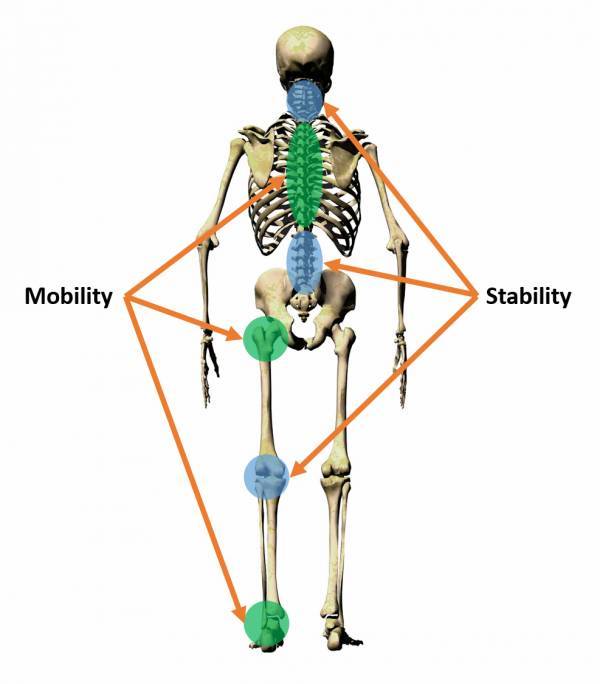 Sequence of joints