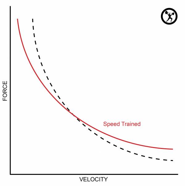 graph 3