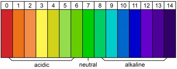 pH Scale