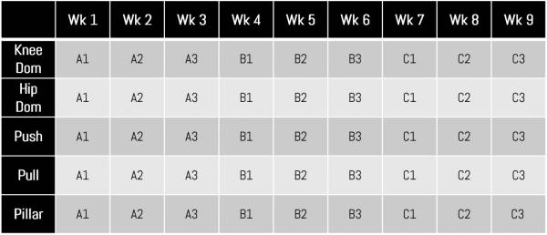 Movement Competency Checklist