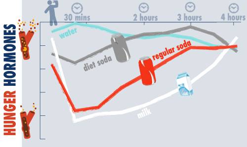hunger hormones graph