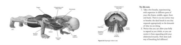 Anatomy Text Collage 2