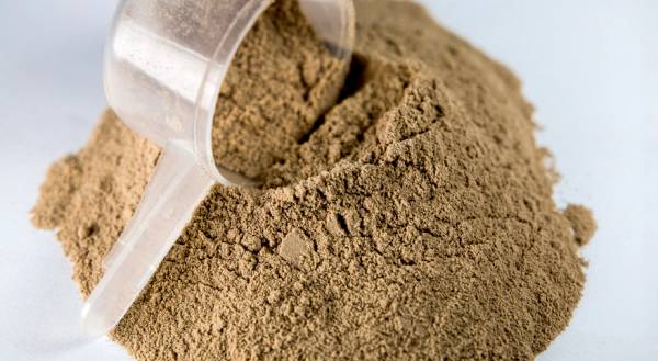 Wild Whey Protein Powder