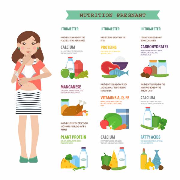 Pregnancy Nutrition Chart