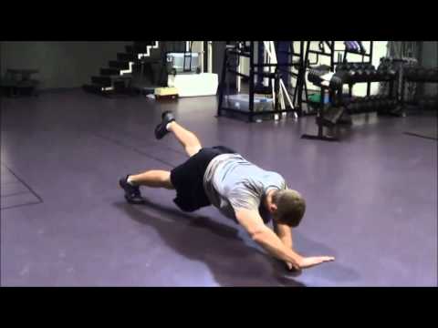 Plank Position Contralateral Raise Right Arm, Left Leg)