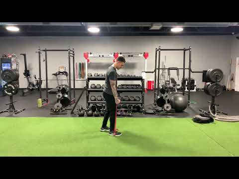 Band Single Arm Hammer Curls